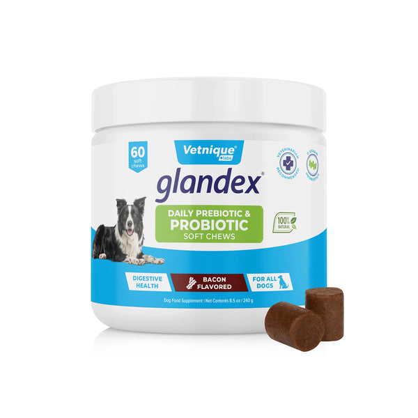 Glandex by Vetnique Daily Probiotics for Dogs with Prebiotics for Gut Health & Immune Support Bacon Flavor Soft Chews, 60ct